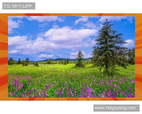 探索阿拉巴的历史文化与自然风光之旅，感受独特魅力与人文底蕴